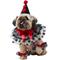 Show in main carousel: Frisco Clown Dog & Cat Costume Accessory, Medium/Large slide 1 of 8