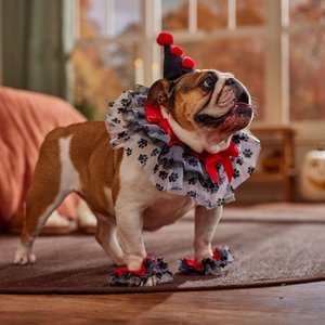 Frisco Clown Dog & Cat Costume Accessory, Medium/Large