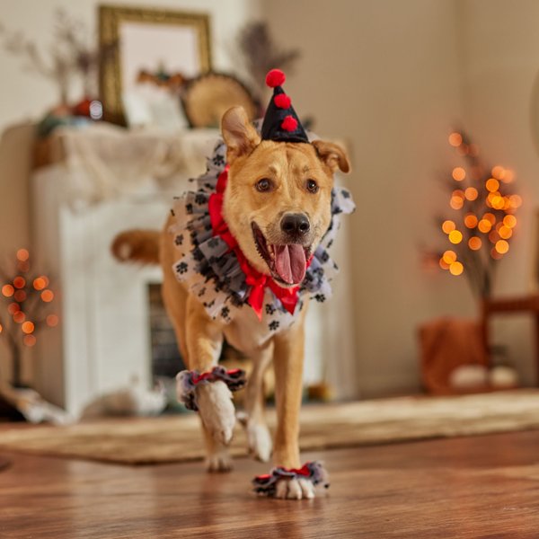 Frisco Clown Dog & Cat Costume Accessory