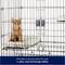 Show in main carousel: Frisco Collapsible Wire Cat Cage Playpen slide 5 of 10
