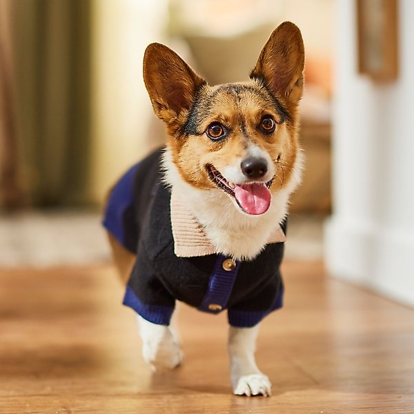 Frisco Collared Dog & Cat Sweater Cardigan