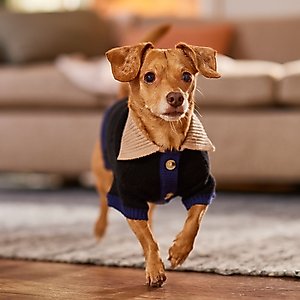 Frisco Collared Dog & Cat Sweater Cardigan, Black, Small