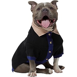 Frisco Basic Dog & Cat Hoodie