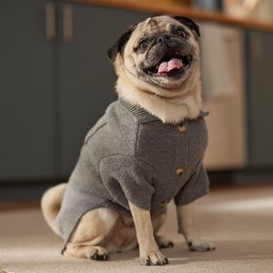 Frisco Collared Dog & Cat Sweater Cardigan, Gray, Medium