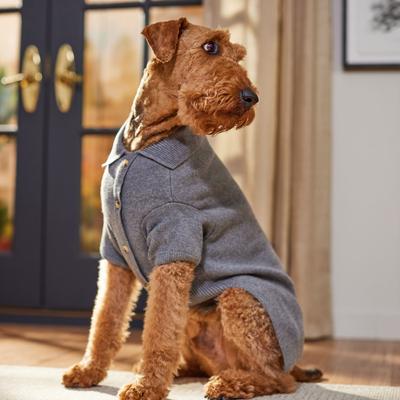Show full view: Frisco Collared Dog & Cat Sweater Cardigan, Gray, XX-Large slide 7 of 11