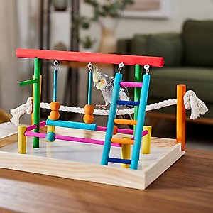 Frisco Color Me Wild Bird Playground
