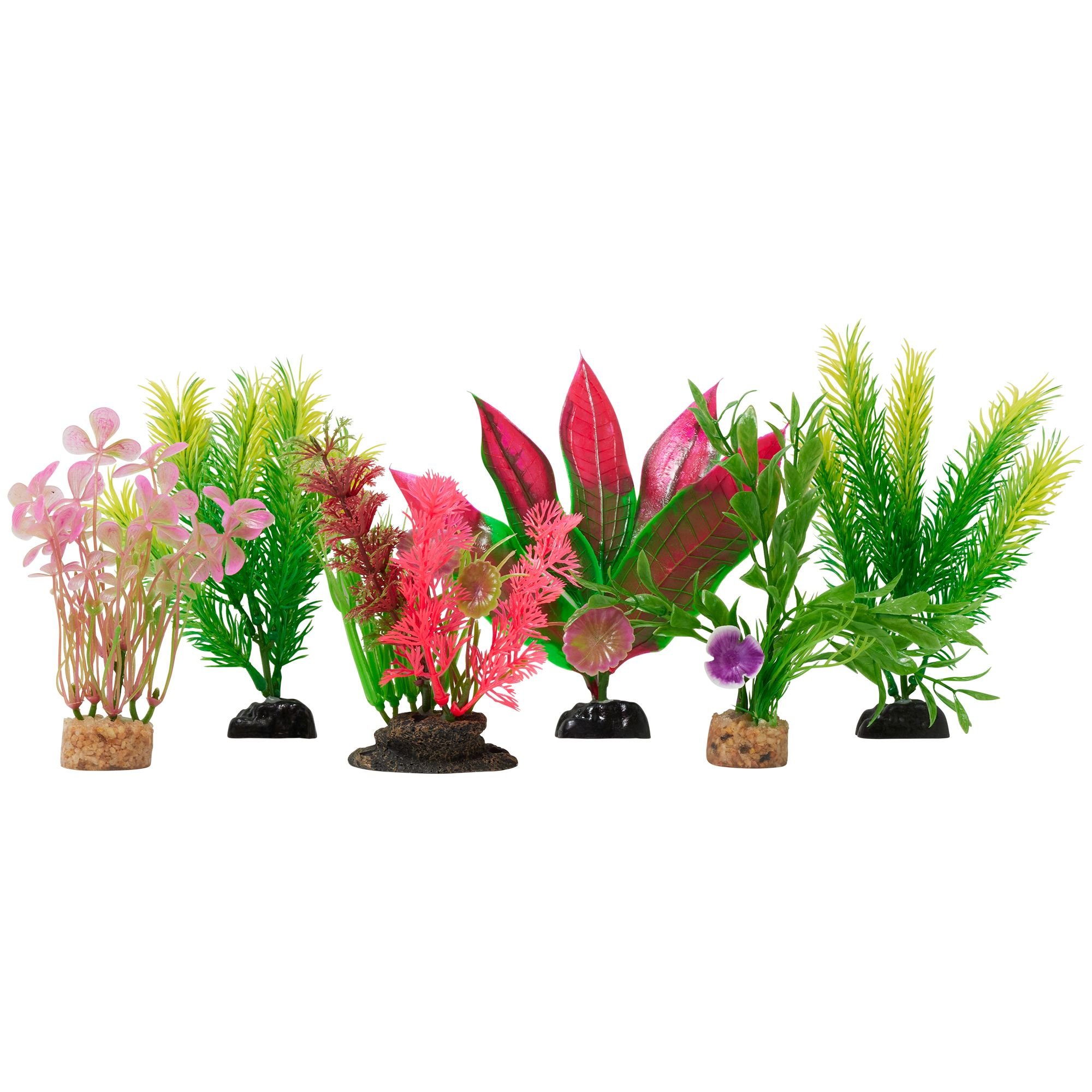 Product Reviews for FRISCO Colorful Plastic Aquarium Plant Set
