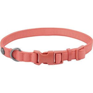 Frisco Comfort Padded Dog Collar, Faded Rose, Small