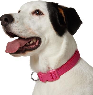 Show full view: Frisco Comfort Padded Dog Collar, Fuchsia, Large/X-Large slide 4 of 10