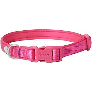 Frisco Comfort Padded Dog Collar, Fuchsia, Medium