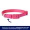 Show in main carousel: Frisco Comfort Padded Dog Collar, Fuchsia, Small slide 5 of 10