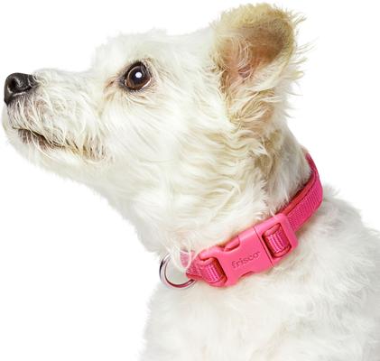 Show full view: Frisco Comfort Padded Dog Collar, Fuchsia, X-Small slide 3 of 9