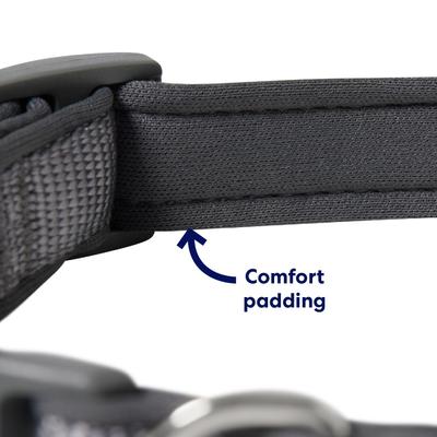 Show full view: Frisco Comfort Padded Dog Collar, Lava Smoke, Large/X-Large slide 2 of 9