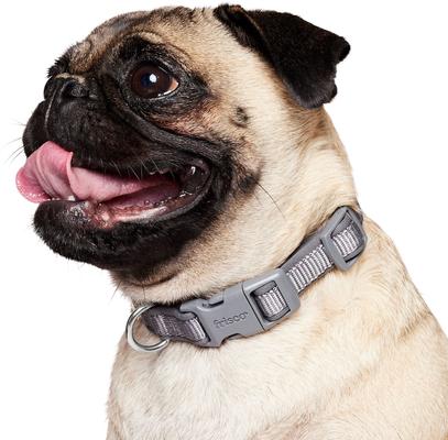 Show full view: Frisco Comfort Padded Dog Collar, Lava Smoke, Small slide 3 of 9