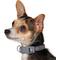 Show in main carousel: Frisco Comfort Padded Dog Collar, Lava Smoke, X-Small slide 4 of 10