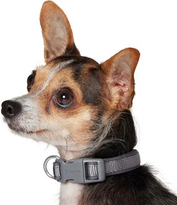 Show full view: Frisco Comfort Padded Dog Collar, Lava Smoke, X-Small slide 4 of 10