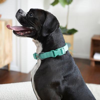 Show full view: Frisco Comfort Padded Dog Collar, Malachite Green, Medium slide 5 of 7