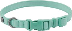 Frisco Comfort Padded Dog Collar, Malachite Green, Small