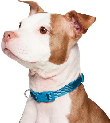 Show full view: Frisco Comfort Padded Dog Collar, Midnight Blue, Medium slide 4 of 10