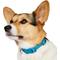 Show in main carousel: Frisco Comfort Padded Dog Collar, Midnight Blue, Small slide 3 of 9