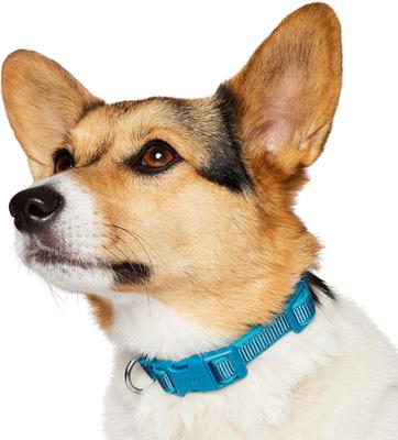 Show full view: Frisco Comfort Padded Dog Collar, Midnight Blue, Small slide 3 of 9