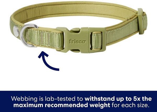 Frisco Comfort Padded Dog Collar