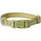 Show in main carousel: Frisco Comfort Padded Dog Collar, Mosstone Green, X-Small slide 1 of 9