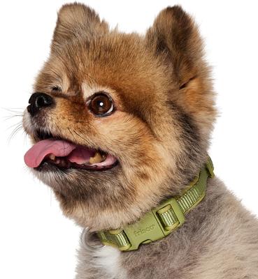 Show full view: Frisco Comfort Padded Dog Collar, Mosstone Green, X-Small slide 3 of 9