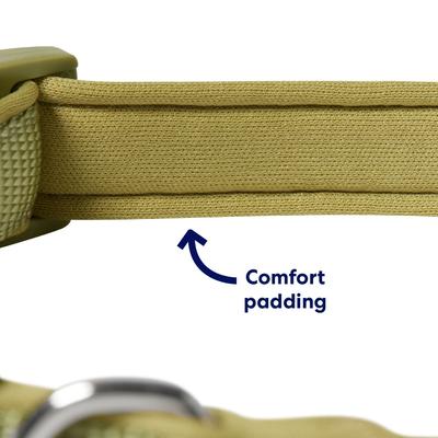 Show full view: Frisco Comfort Padded Dog Collar, Mosstone Green, X-Small slide 2 of 9