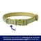Show in main carousel: Frisco Comfort Padded Dog Collar, Mosstone Green, X-Small slide 4 of 9