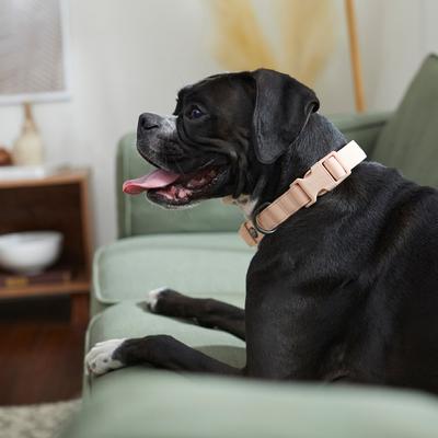 Show full view: Frisco Comfort Padded Dog Collar, Soft Beige Pink, Medium slide 5 of 7