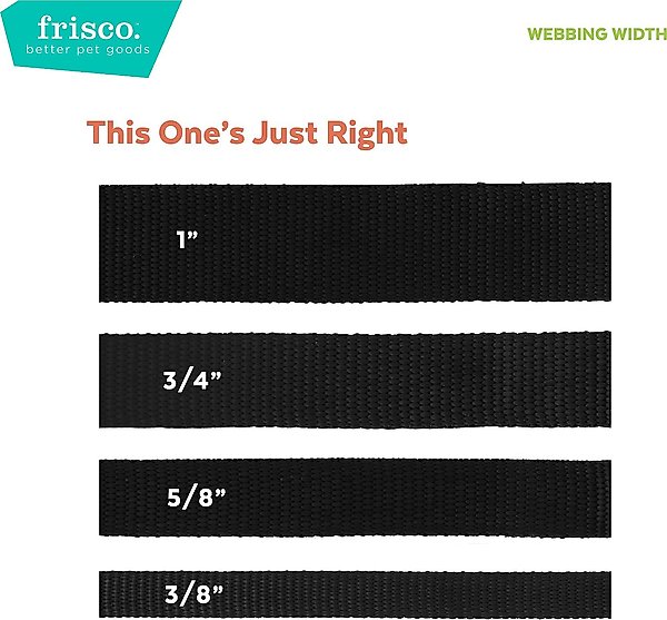 Show full view: Frisco Comfort Padded Dog Collar, True Navy, Small slide 3 of 7
