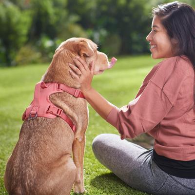 Show full view: Frisco Comfort Padded Dog Harness, Faded Rose, Large slide 5 of 7