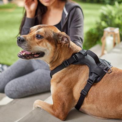 Show full view: Frisco Comfort Padded Dog Harness, Jet Black, Large slide 5 of 7