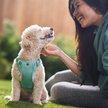 Show in main carousel: Frisco Comfort Padded Dog Harness, Malachite Green, Medium slide 5 of 7