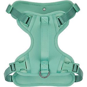 Frisco Comfort Padded Dog Harness, Malachite Green, Small
