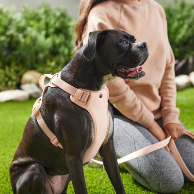 Show full view: Frisco Comfort Padded Dog Harness, Soft Beige Pink, Large slide 5 of 7
