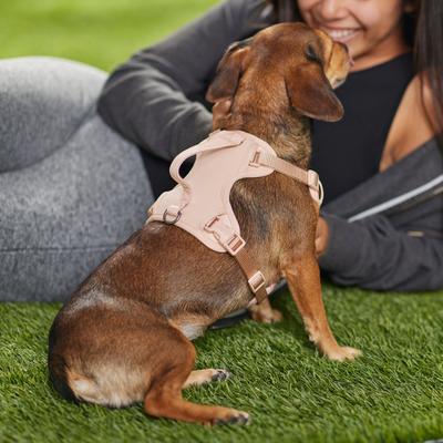 Show full view: Frisco Comfort Padded Dog Harness, Soft Beige Pink, Small slide 5 of 7