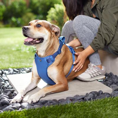 Show full view: Frisco Comfort Padded Dog Harness, True Navy, Extra Large slide 5 of 7