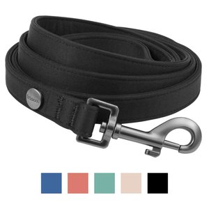 Frisco Comfort Padded Dog Leash, Jet Black, Large
