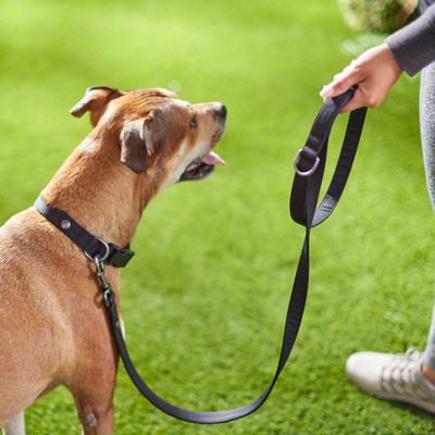 Show full view: Frisco Comfort Padded Dog Leash, Jet Black, Large slide 4 of 6