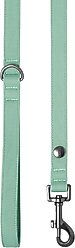 Frisco Comfort Padded Dog Leash, Malachite Green, Large slide 2 of 4