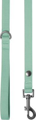 Show full view: Frisco Comfort Padded Dog Leash, Malachite Green, Medium slide 3 of 7