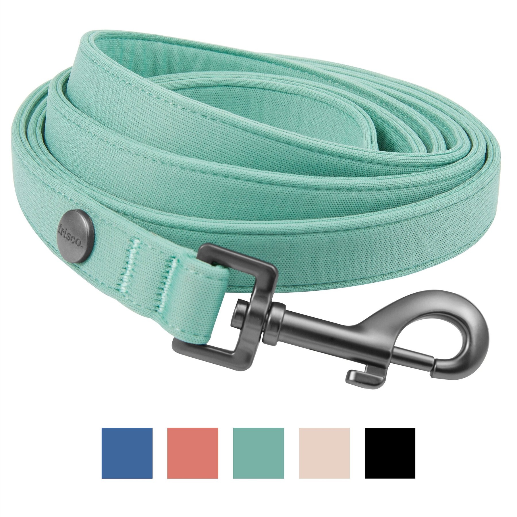 Frisco Comfort Padded Dog Leash, Malachite Green, Small