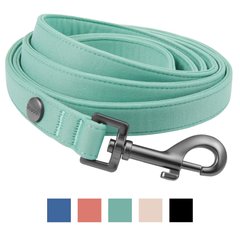 Frisco Comfort Padded Dog Leash, Malachite Green, Small