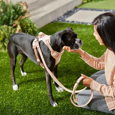 Show full view: Frisco Comfort Padded Dog Leash, Soft Beige Pink, Large slide 4 of 6