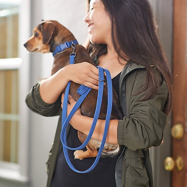 Show full view: Frisco Comfort Padded Dog Leash, True Navy, Medium slide 4 of 6