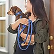 Show in main carousel: Frisco Comfort Padded Dog Leash, True Navy, Medium slide 4 of 6