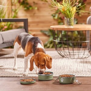 Frisco Complete Travel Stainless Steel Dog & Cat Feeder Bowl, Artichoke Green, Large