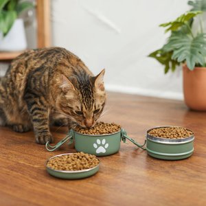 Frisco Complete Travel Stainless Steel Dog & Cat Feeder Bowl, Artichoke Green, Large